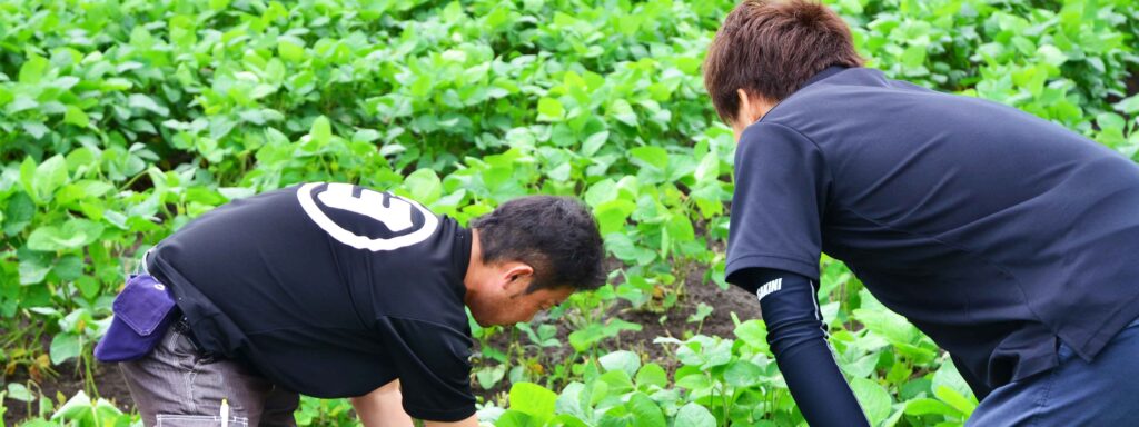 私たちについて